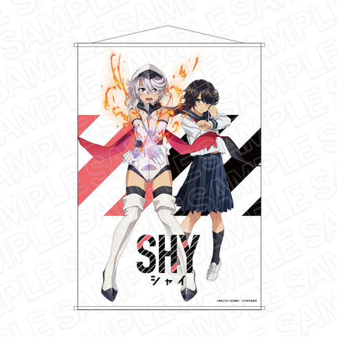 TVアニメ『SHY』 B2タペストリー ティザービジュアル
