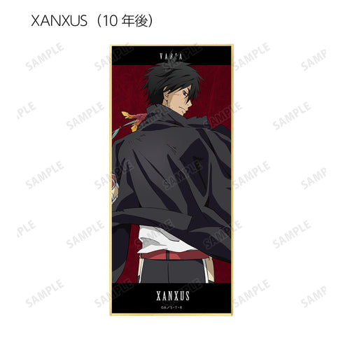 『家庭教師ヒットマンREBORN!』描き下ろしイラスト 戦う背中ver. トレーディングスタンド付き色紙 BOX