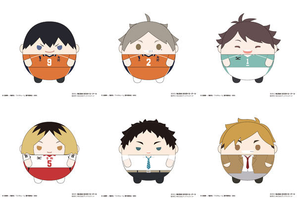 『ハイキュー!!』ふわコロりん6 BOX