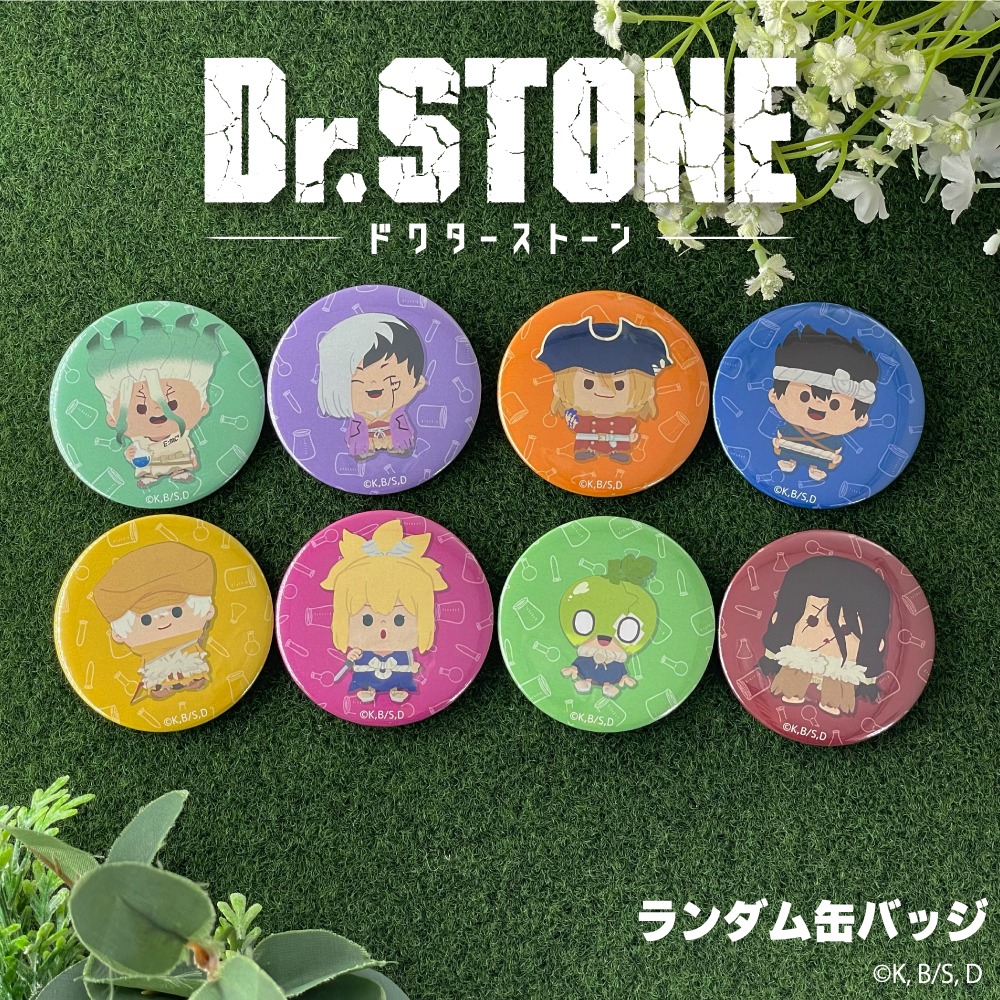 Dr.STONE』ランダム缶バッジBOX(全9種) – Anime Store JP