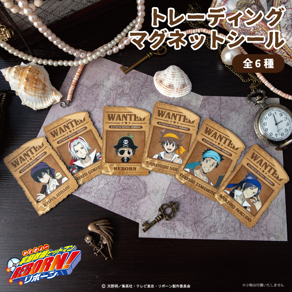 『家庭教師ヒットマンREBORN!描き下ろし パイレーツ衣装』トレーディングマグネットシールBOX(全6種)【202601再販】