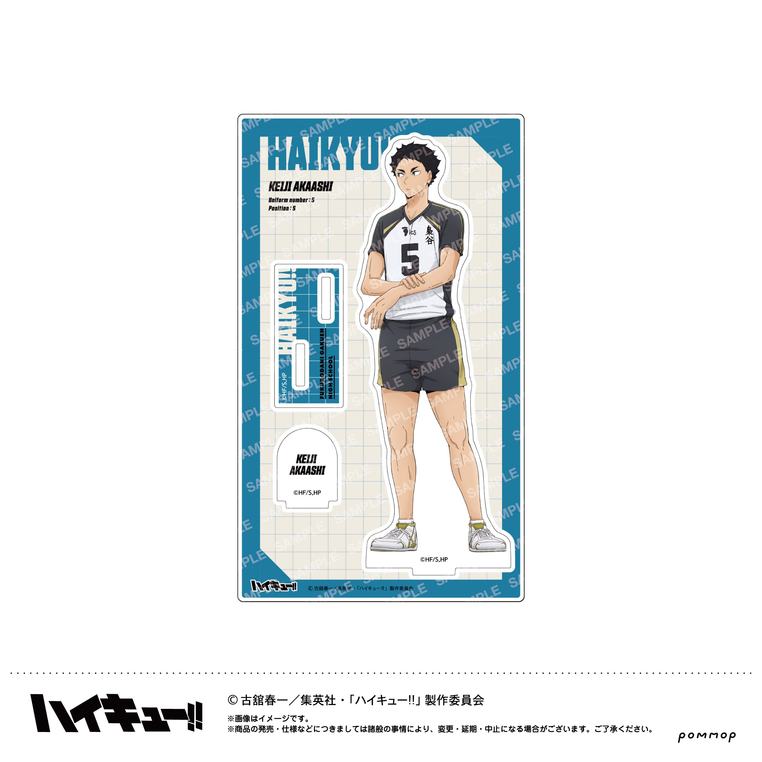 2503HQ_241217_acsta_I_akaashi.