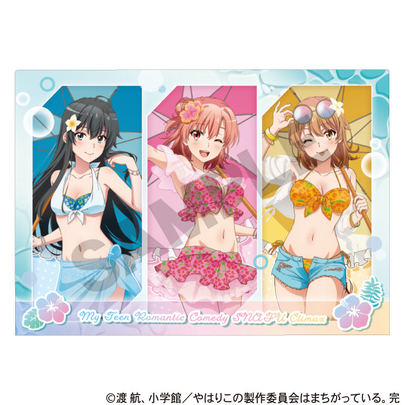 『やはり俺の青春ラブコメはまちがっている。完』シングルクリアファイル 集合 水着パラソル