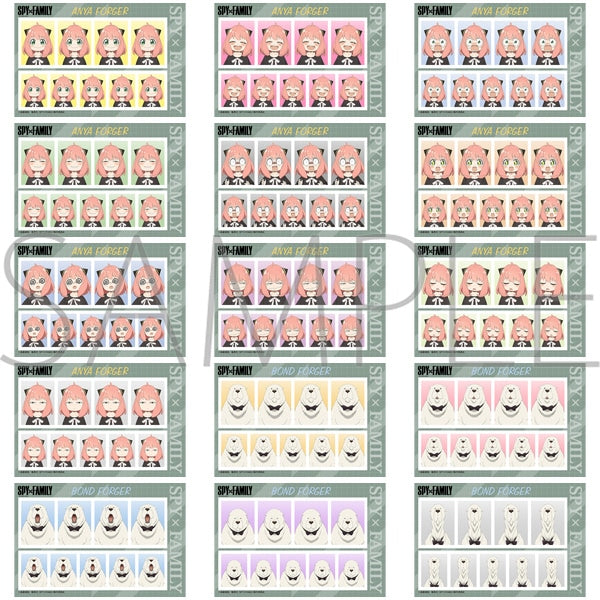 『SPY×FAMILY』証明写真館【BOX】
