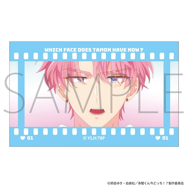 『多聞くん今どっち!?』フィルム風コレクション【BOX】