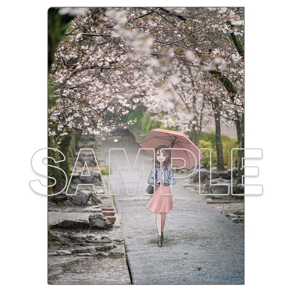 『ラブライブ!サンシャイン!!』クリアファイル Aqours 曜[5]