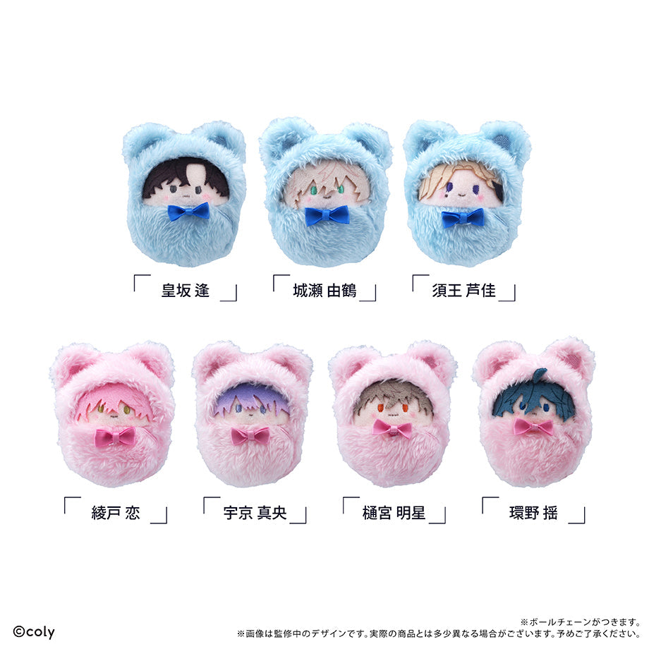 『ブレイクマイケース』くるみたぴぬい Vol.1【BOX】