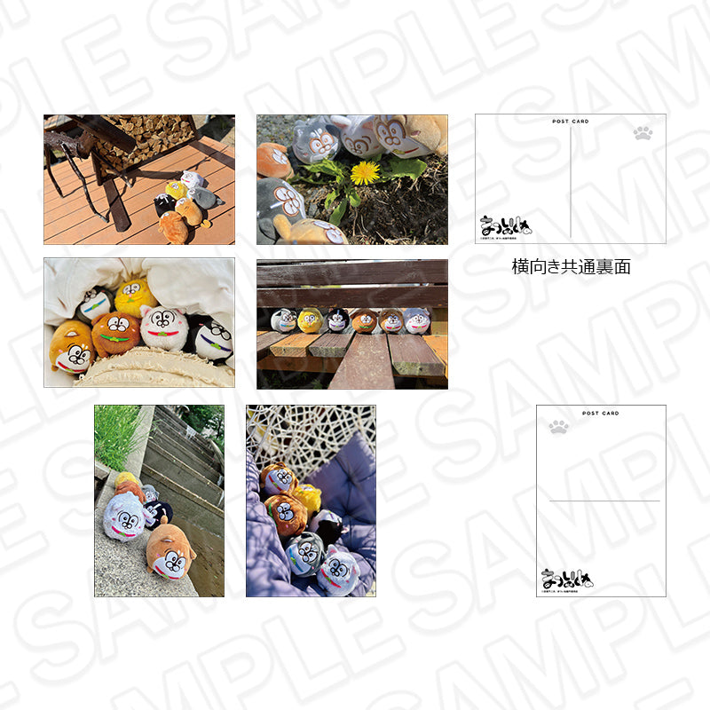 『まついぬ』ポストカードセット にっき ver. vol.2