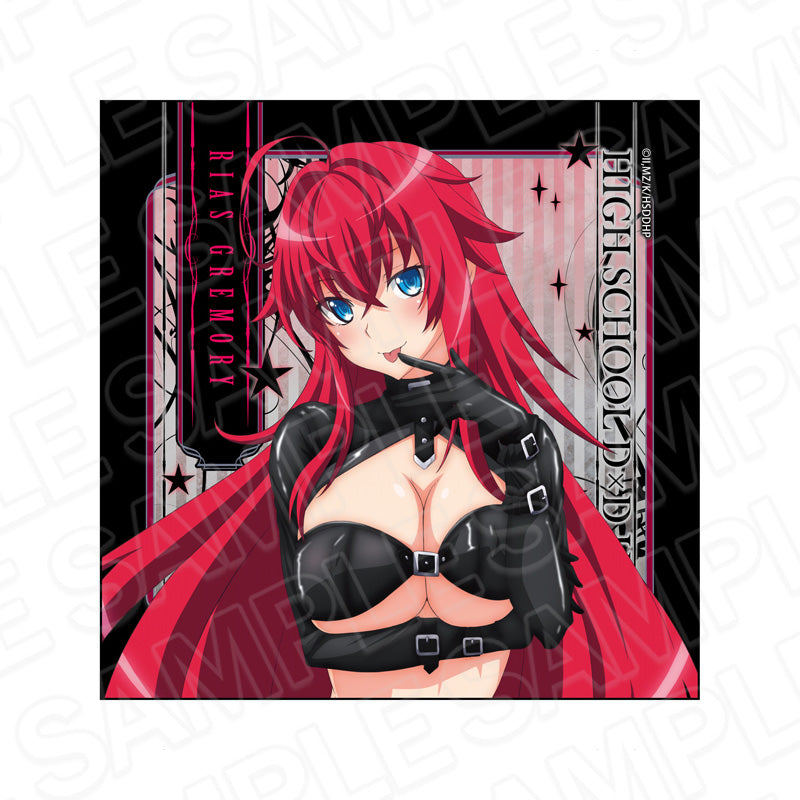 『ハイスクールDxD HERO』マイクロファイバー リアス・グレモリー ボンテージ ver.