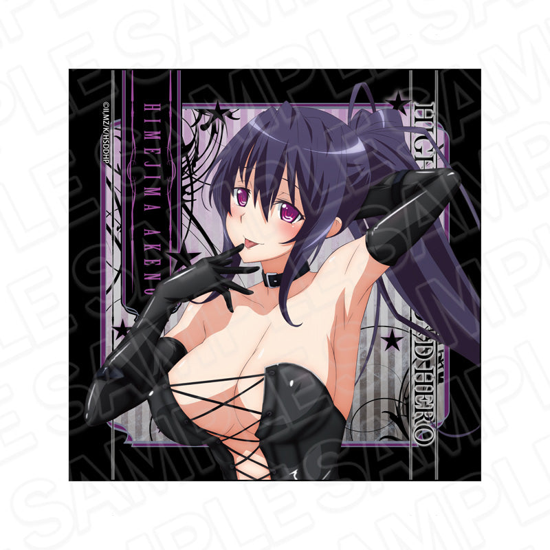 『ハイスクールDxD HERO』マイクロファイバー 姫島朱乃 ボンテージ ver.