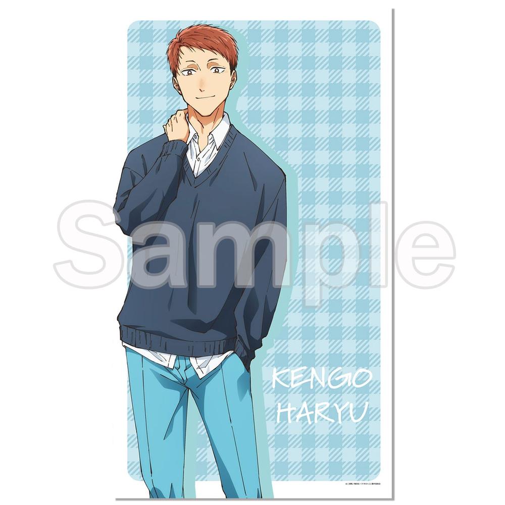 『アオのハコ』マルチタペストリーのれん 針生健吾【202504再販】