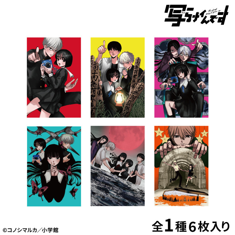 写らナイんです】』トレーディング蓄光缶バッジ【BOX】 - Anime Store.JP
