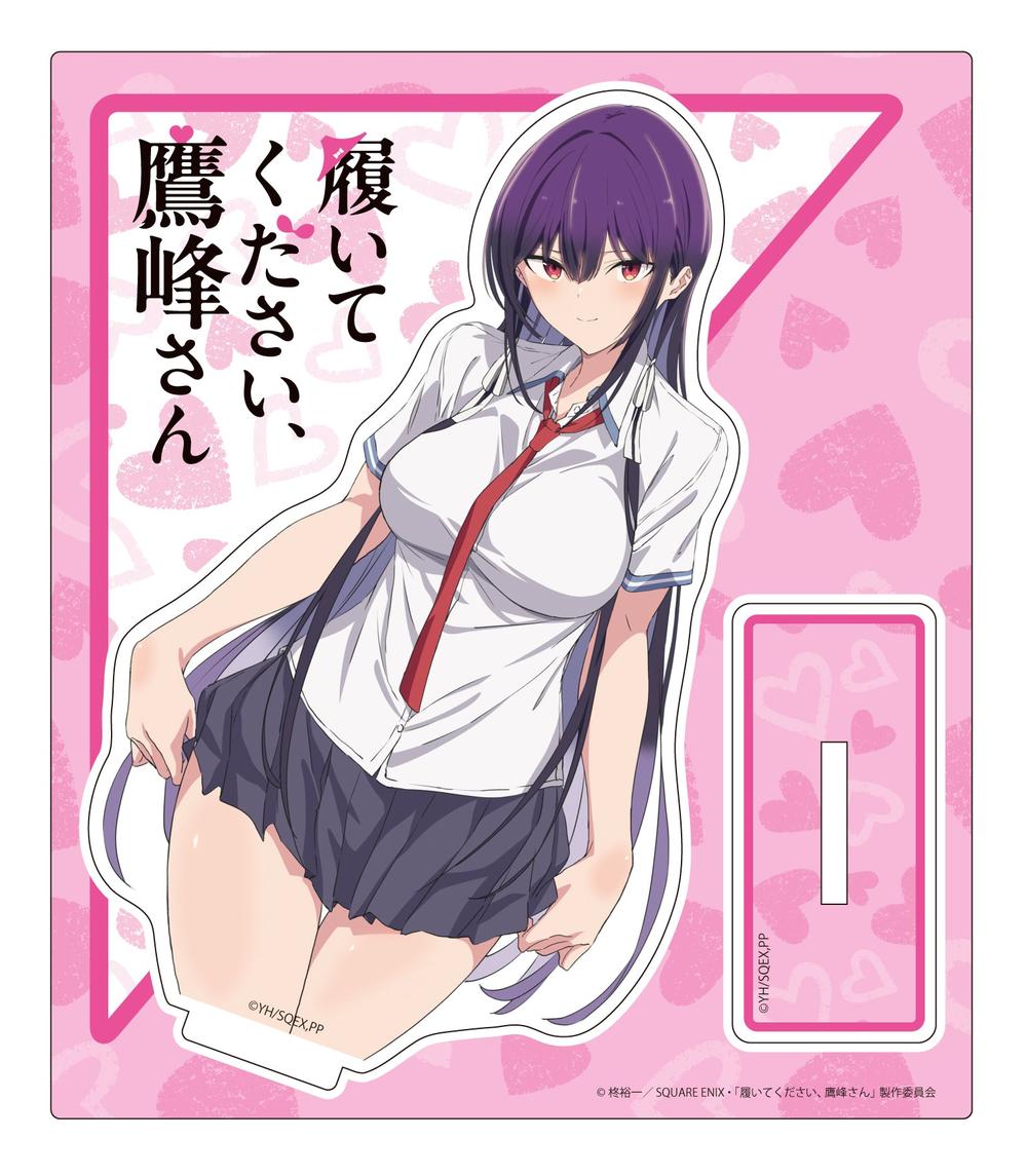 履いてください、鷹峰さん』ミニタペストリー 鷹峰高嶺A – Anime
