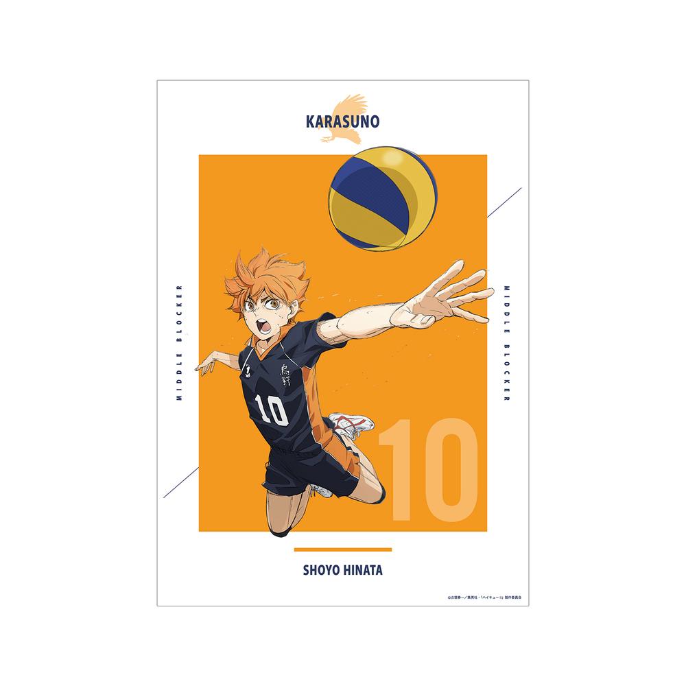 『ハイキュー!! ゴミ捨て場の決戦』日向翔陽 A3マット加工ポスター【202506再販】