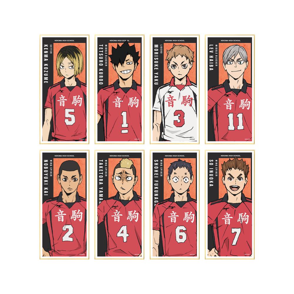『ハイキュー!! ゴミ捨て場の決戦』トレーディングスタンド付き色紙 ver.B(単位/BOX)【202506再販】