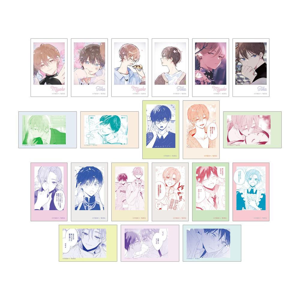 『ハレルヤベイビー』トレーディングインスタントカメラ風イラストカード(単位/BOX)【202603再販】