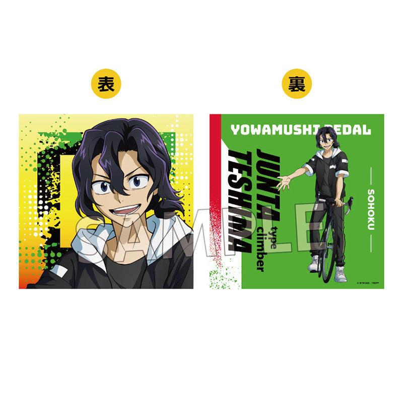 弱虫ペダル (弱ペダ) グッズ – Anime Store JP