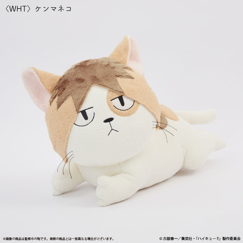 ハイキュー!!』クッション ケンマネコ – Anime Store JP