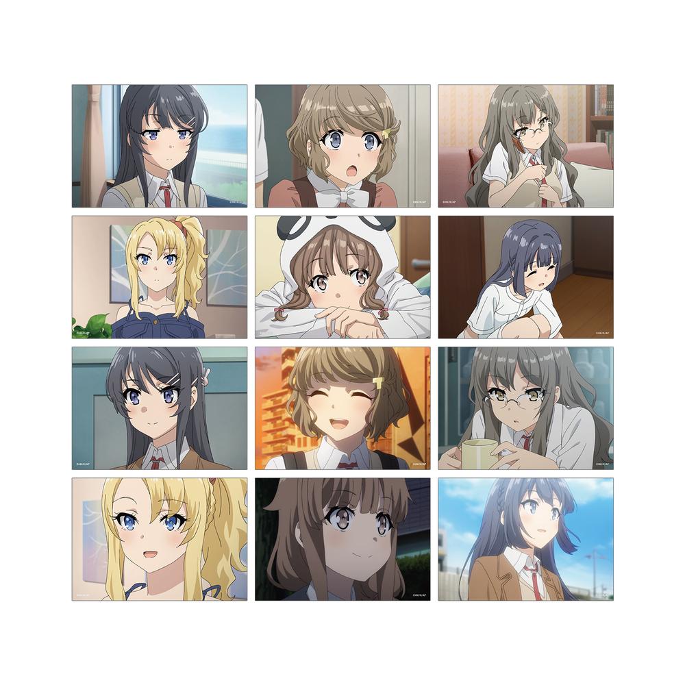 『青春ブタ野郎はバニーガール先輩の夢を見ない』トレーディング場面写ブロマイド(単位/BOX)