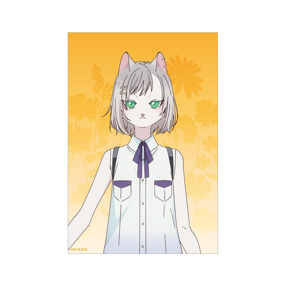 『キミと越えて恋になる』キサラ クリアカード