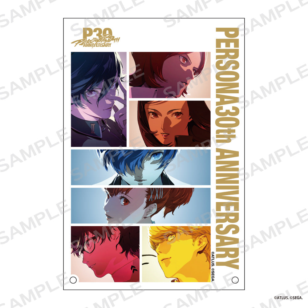 ペルソナシリーズ』P30th トレーディング缶バッジ【BOX】 – Anime