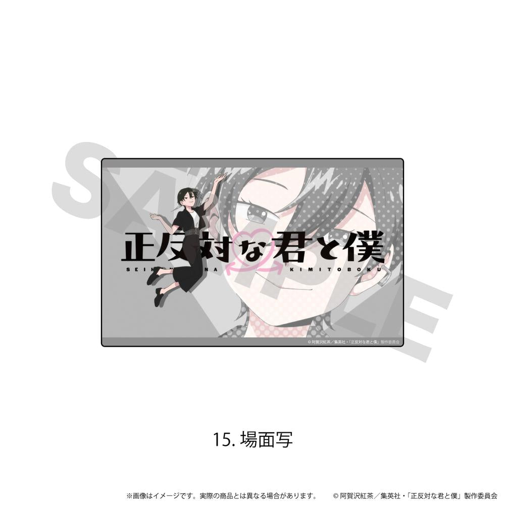 正反対な君と僕』鈴木・谷 petit-sserie ポストカード2枚セット
