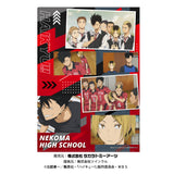 『ハイキュー!!』コラージュクリアファイルB 烏野高校/音駒高校