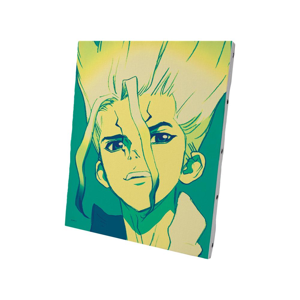 『Dr.STONE』石神千空 paleful キャンバスボード【202510再販】