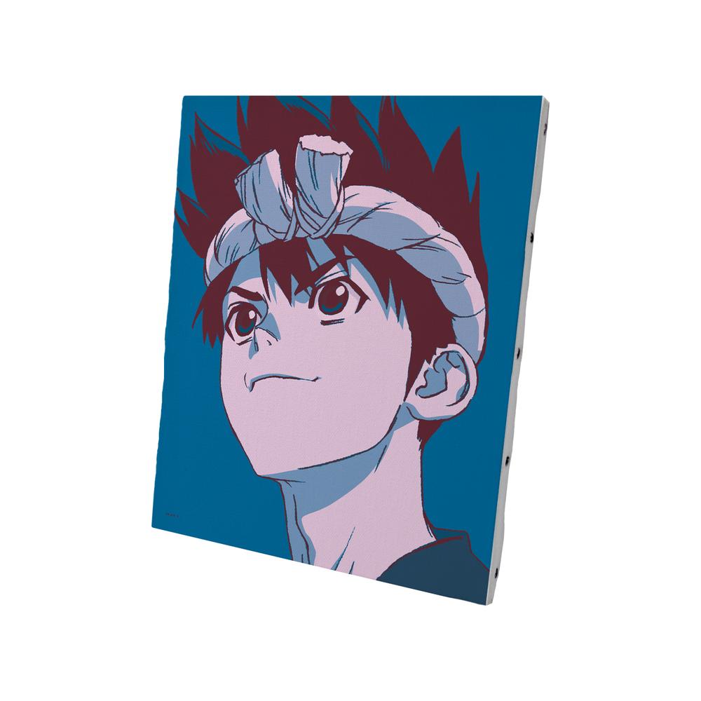 『Dr.STONE』クロム paleful キャンバスボード【202510再販】