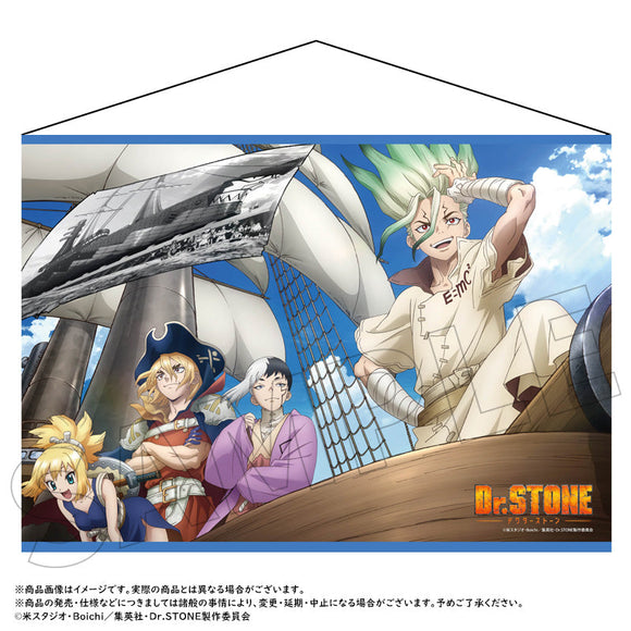 Dr.STONE』WスエードB2タペストリー – Anime Store JP