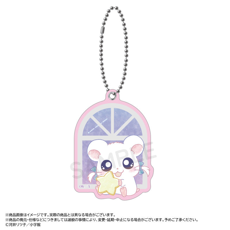 とっとこハム太郎 ウォータードーム リボンちゃん Amazon.co.jp: とっとこハム太郎 リボンちゃん ピック 2000年