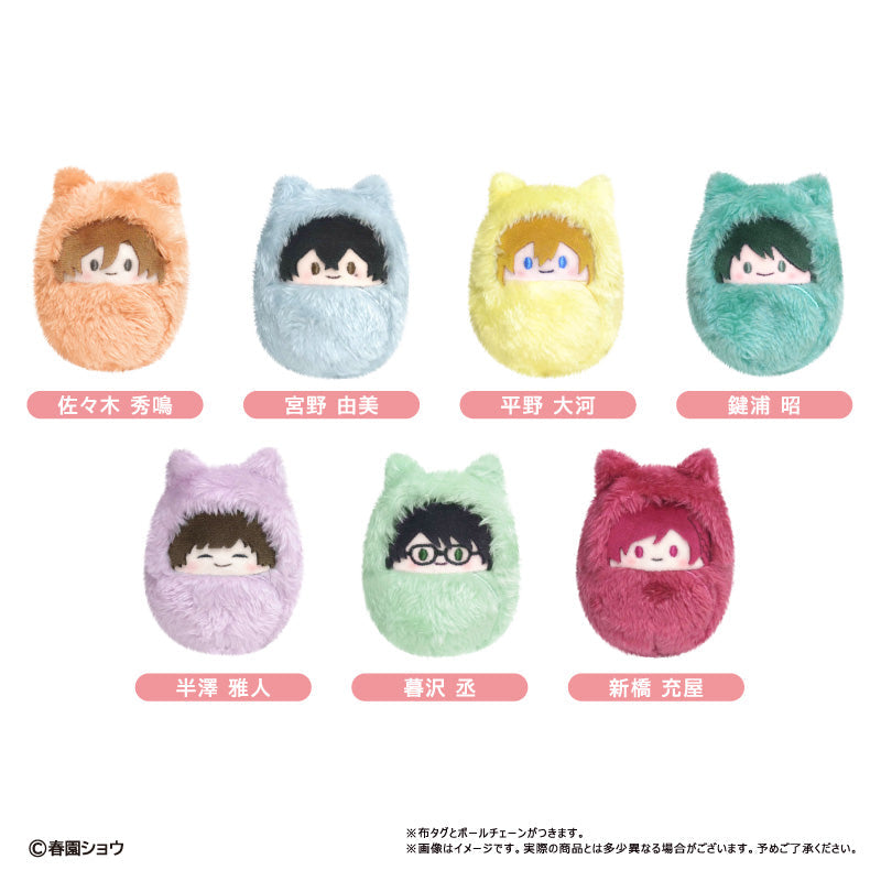 『佐々木と宮野』くるみたぴぬい【BOX】