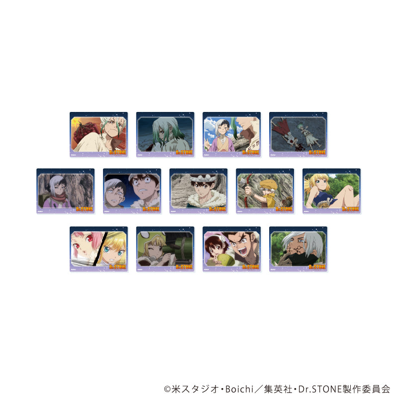 『Dr.STONE』アクリルカード17/コンプリートセット(全13種)(場面写イラスト)