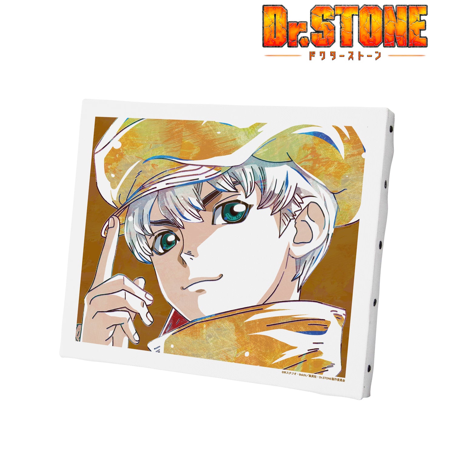 Dr.STONE』⻄園寺羽京 Ani-Art 第2弾 キャンバスボード – Anime