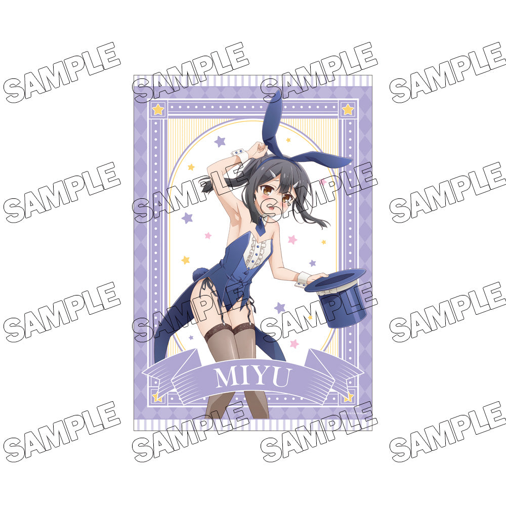 『Fate/kaleid liner プリズマ☆イリヤ Licht 名前の無い少女』描き下ろしB2タペストリー【バニーVer.】➂美遊【202511再販】