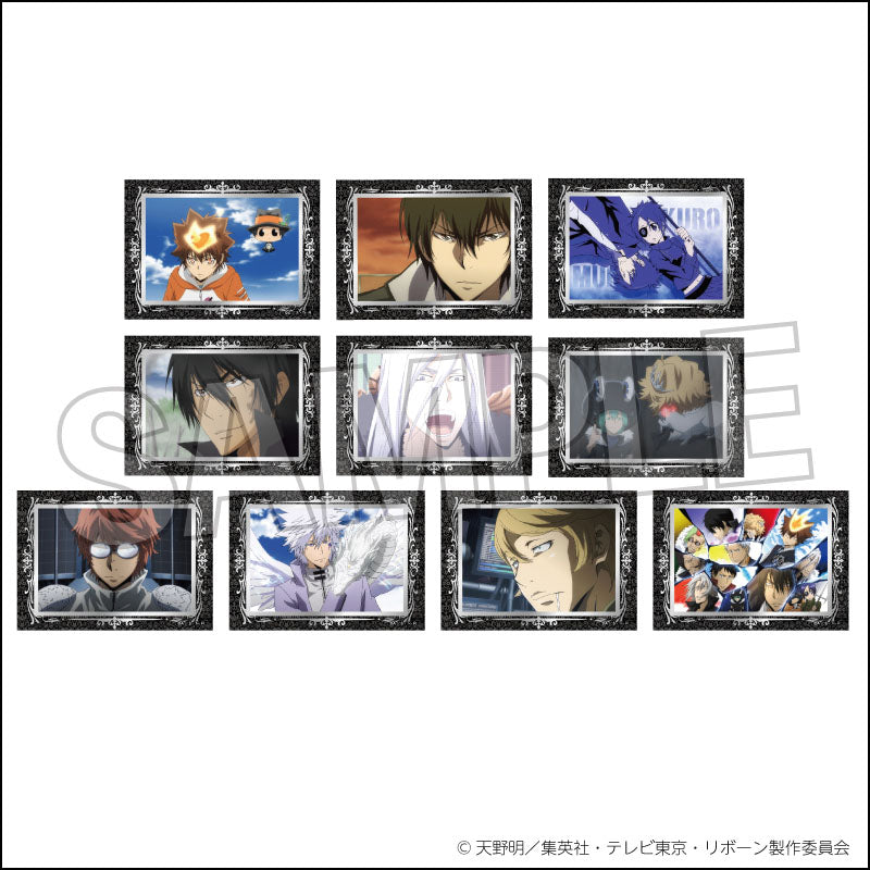 『家庭教師ヒットマンREBORN!』トレーディングホロステッカー ボンゴレファミリー・ミルフィオーレ【BOX】【202507再販】