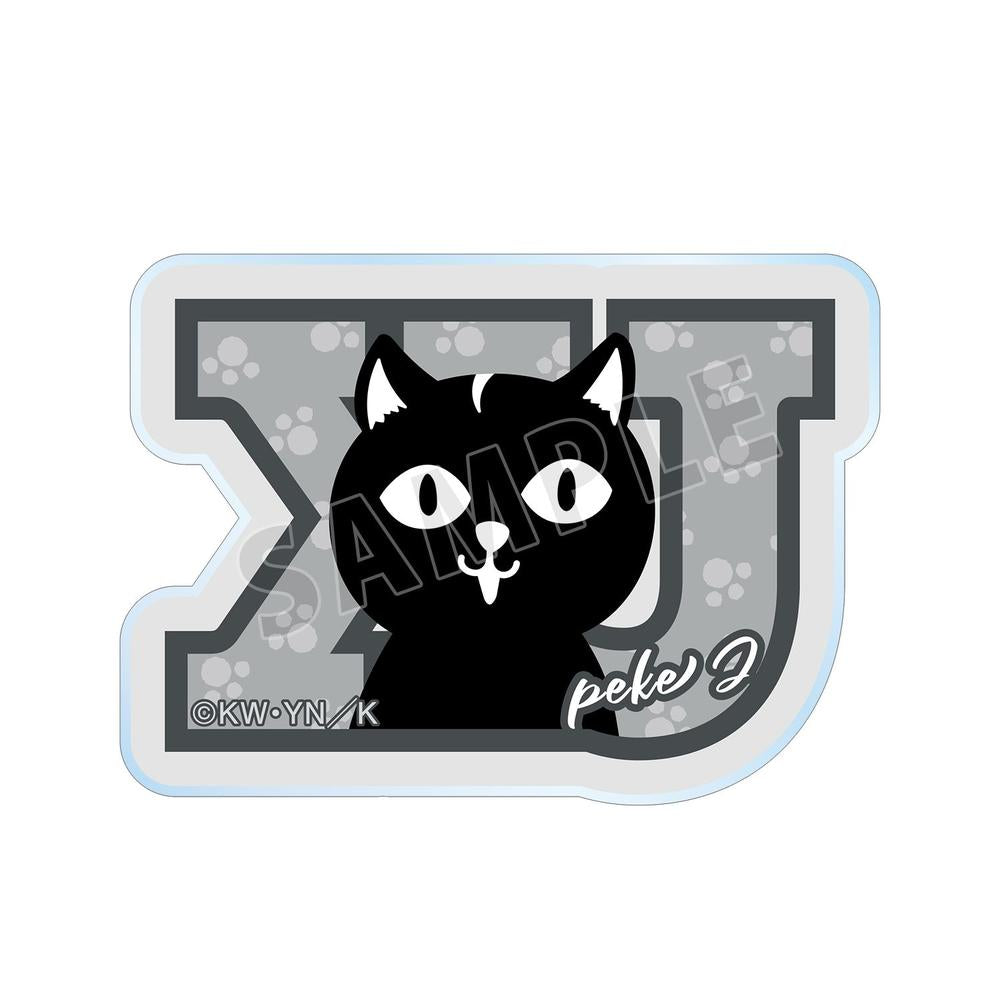 『東京卍リベンジャーズ ~場地圭介からの手紙~』ペケJ アクリルステッカー【202604再販】