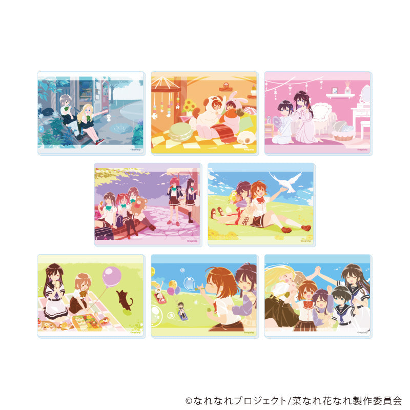 『菜なれ花なれ』アクリルカード02/BOX(全8種)(場面写イラスト)