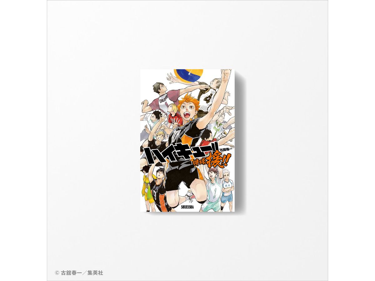 ハイキュー!!』排球援!! – Anime Store JP