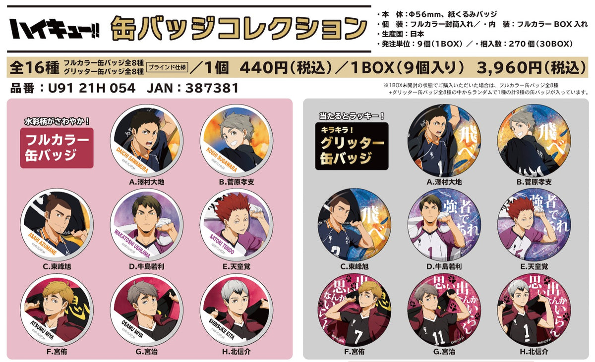 再販】「ハイキュー!!」描き下ろし 缶バッジコレクション BOX B 