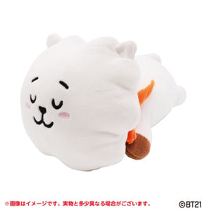 『BT21』 もふもふ★うでまくら RJ