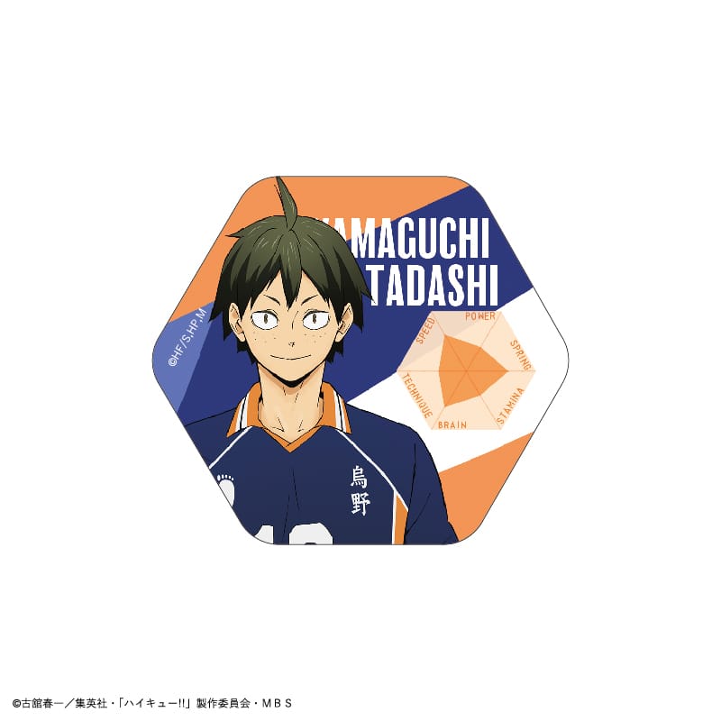 未開封 ハイキュー ステータスカードコレクション 第1弾 第2弾 計20点