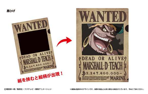 『ワンピース ONE PIECE』手配書トリックファイルVol.2 黒ひげ