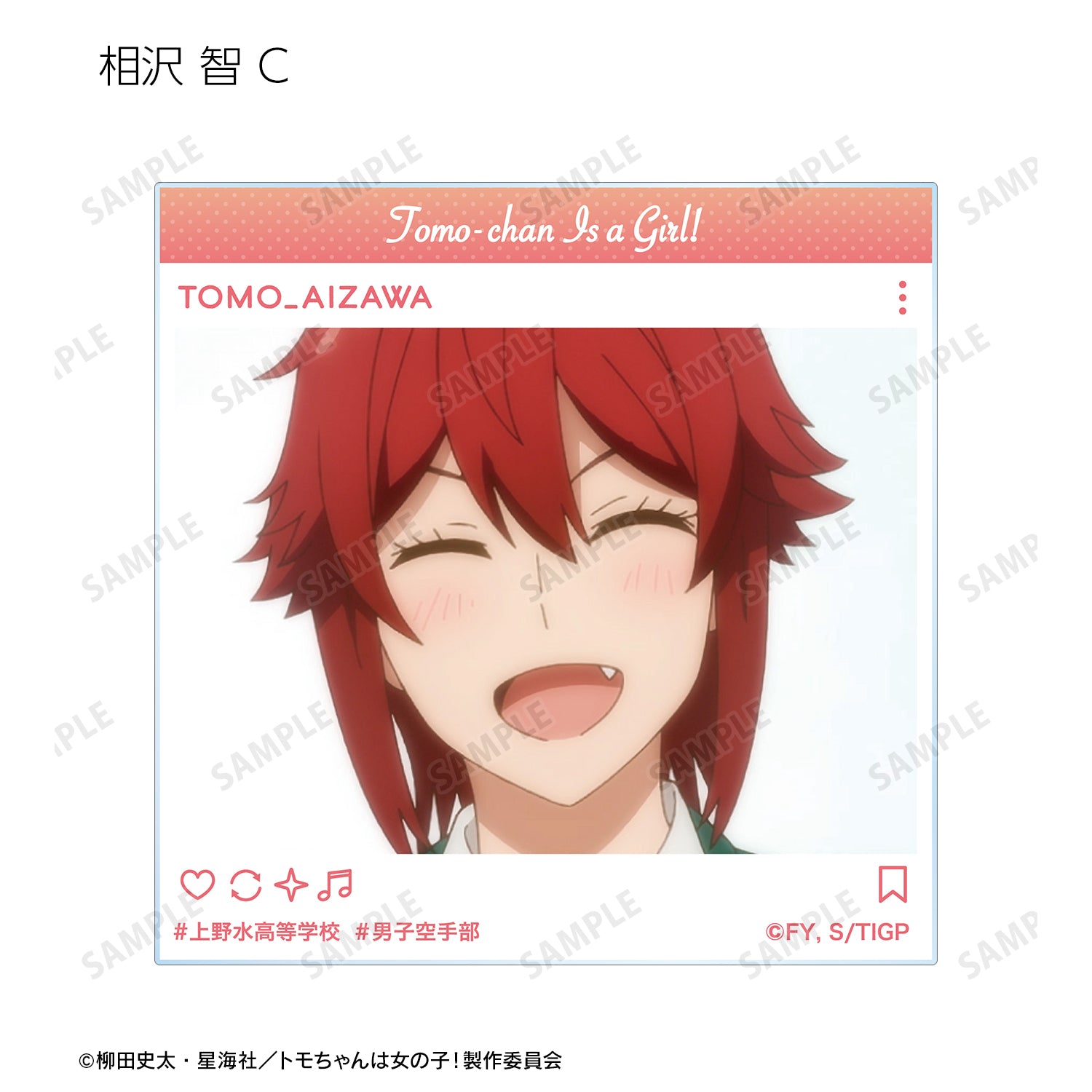 トモちゃんは女の子！』トレーディングSNS風アクリルカード(全10種) BOX – Anime Store JP
