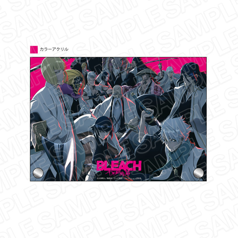 希少 BLEACH 千年血戦篇 JF 2枚重ね カラーアクリルアート 護廷十三隊 希少 BLEACH 千年血戦篇 JF 2枚重ね カラーアクリルアート 護廷