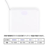 『ペルソナシリーズ』P1主人公 lette-graph モバイルバッテリー