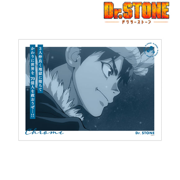 『Dr.STONE』クロム A3マット加工ポスター