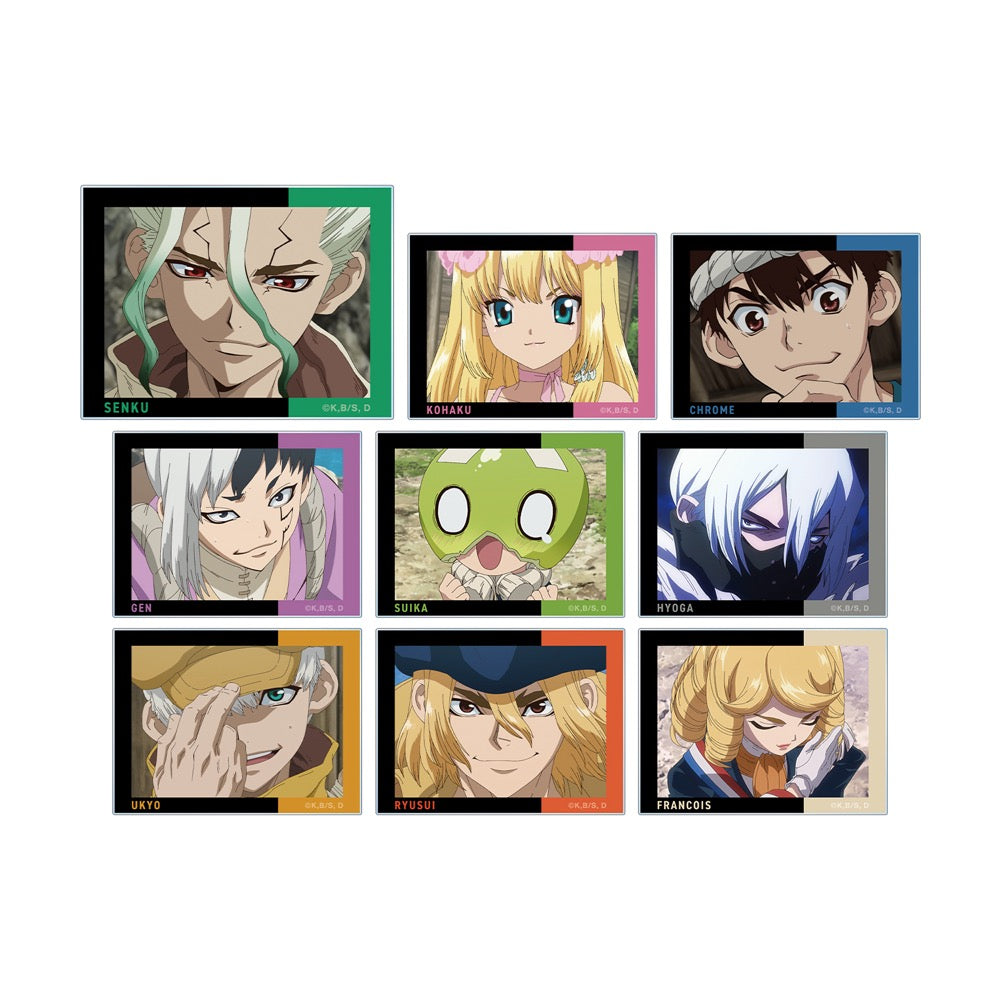 dr.stone スタンリー アクリルカード 5枚セット dr.stone スタンリー アクリルカード 5枚セット Dr.STONE SNS風クリア