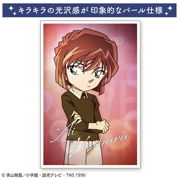 名探偵コナン 灰原哀 江戸川コナン 非売品 大型カード 超絶レア - カード 名探偵コナン 灰原哀 江戸川コナン 非売品 大型カード 超絶レア - カード