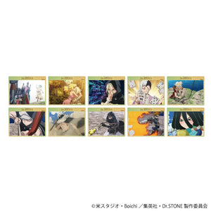 『Dr.STONE』アクリルカード 08/ブラインド(全10種)(場面写イラスト)